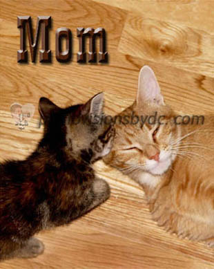 note card sample