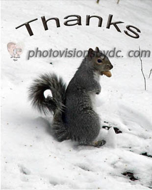 note card sample