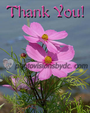 note card sample