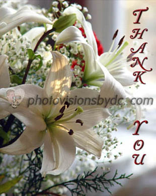 note card sample